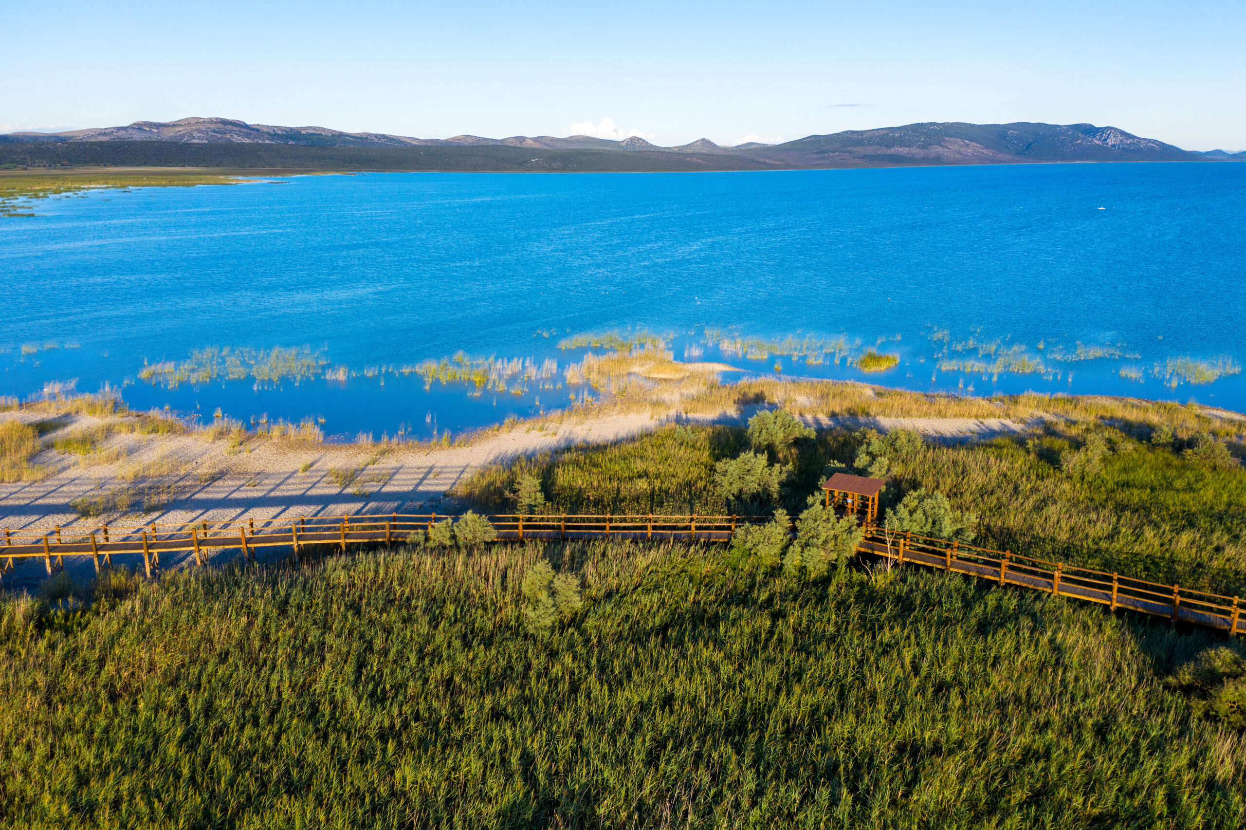 Wooden,Walkways,In,Reeds,,Vransko,Jezero,(vrana,Lake),In,Croatia