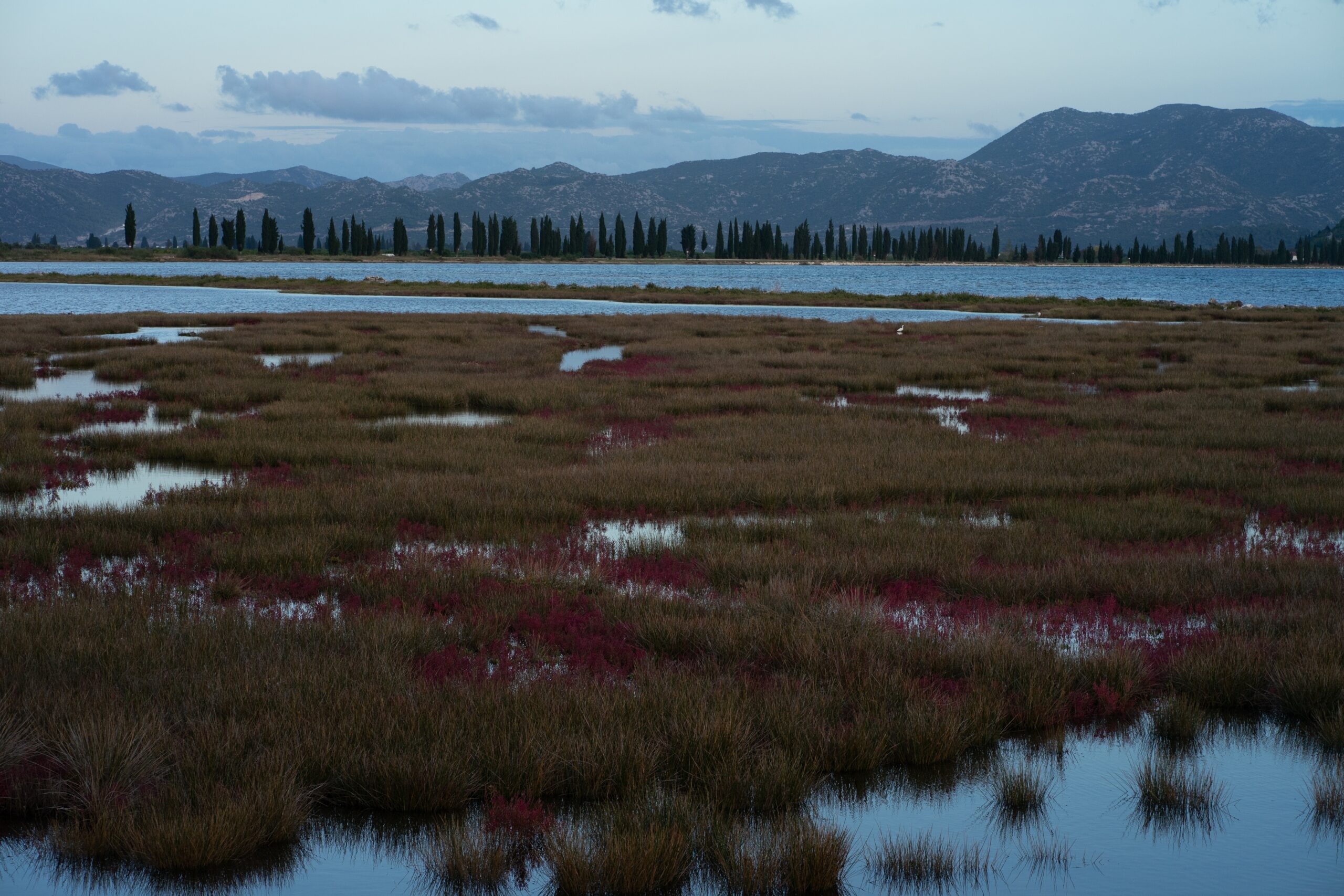 Delta,Neretve,Natural,Reserve,Views