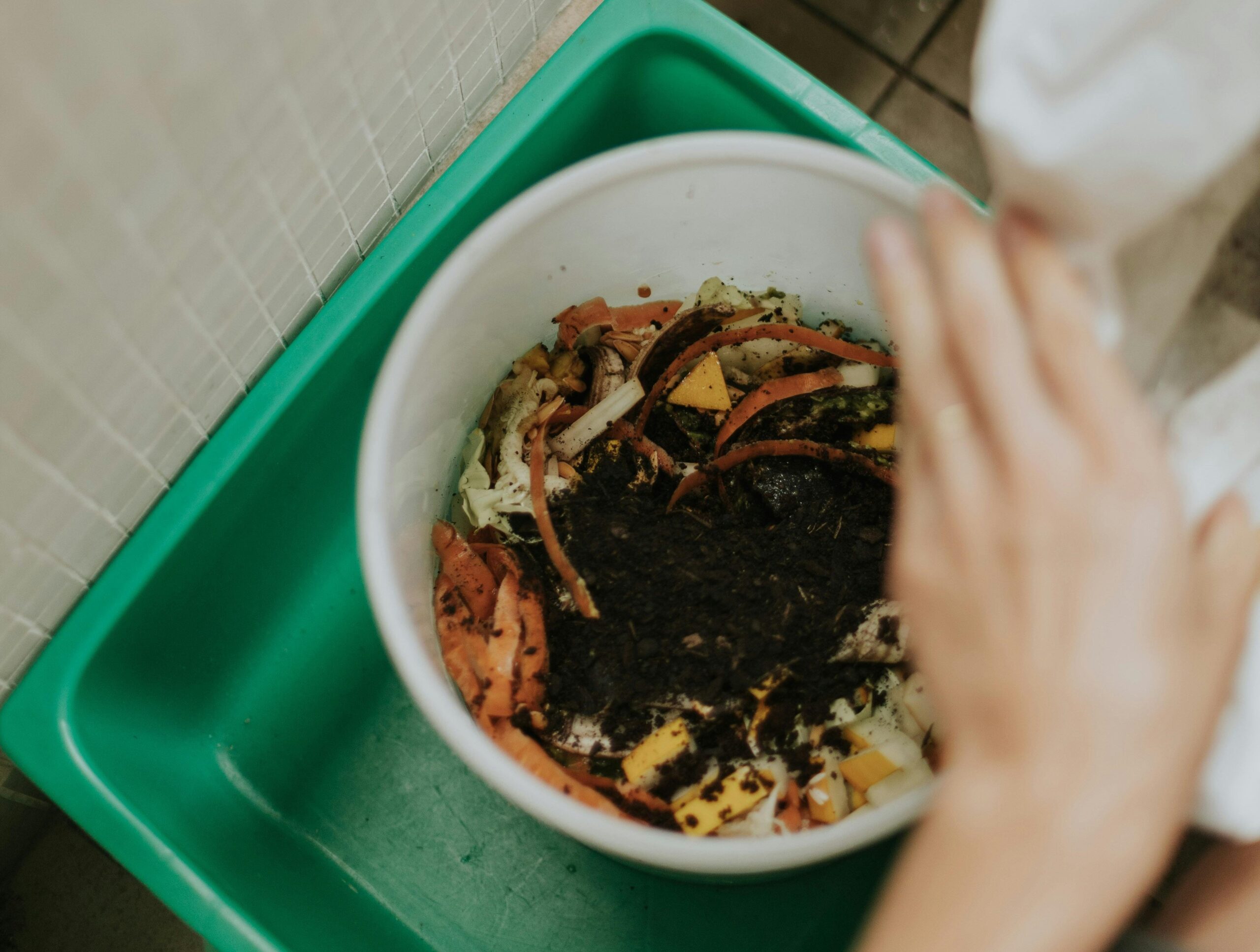 pexels-leticia-alvares-1805702-31416063