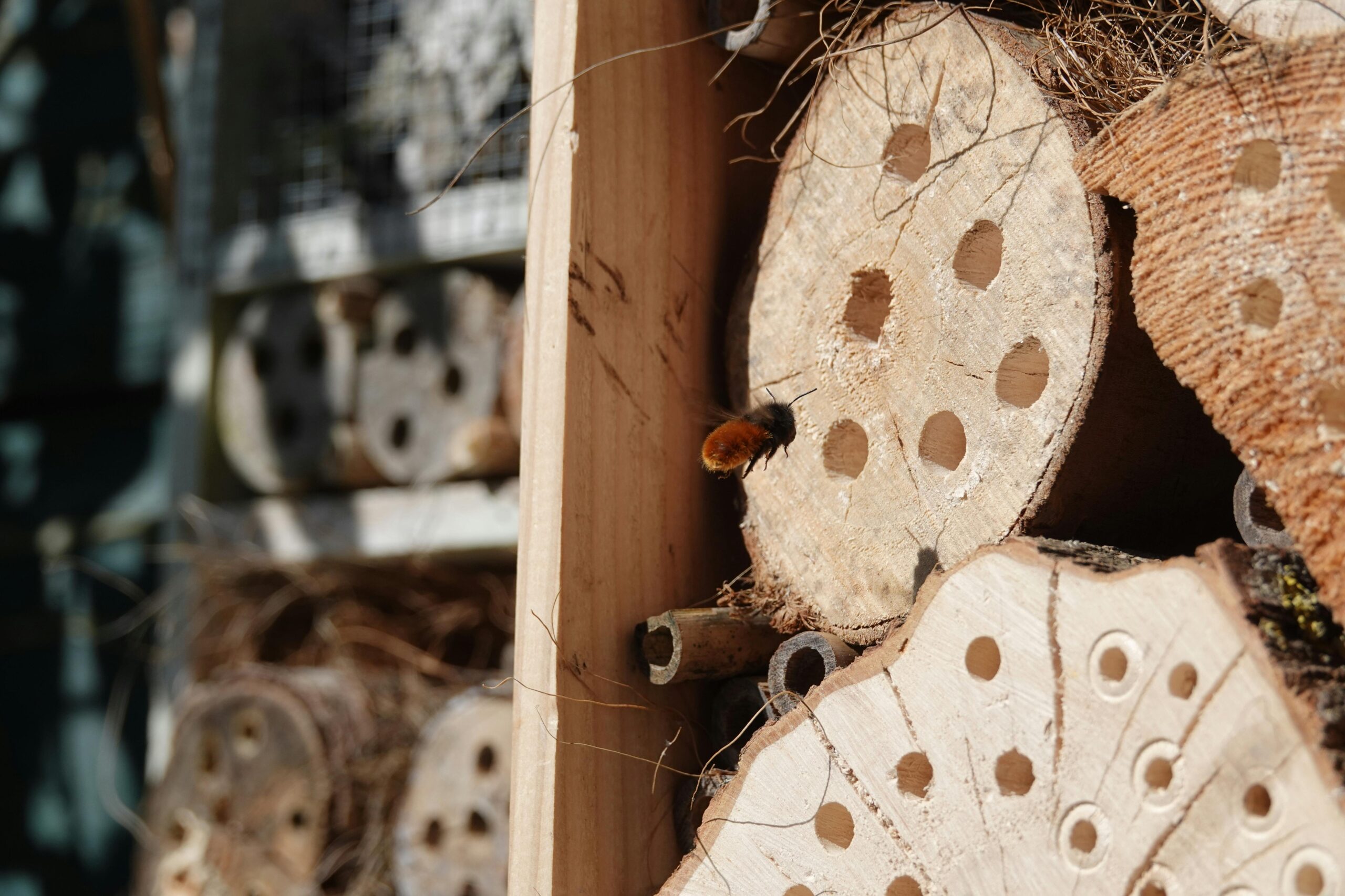 pexels-patrick-droog-809423147-31499656